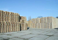 EUR Holzpaletten